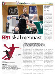 Síða 38