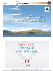 Síða 43