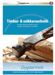 Síða 51