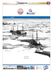 Síða 53