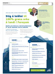 Síða 3