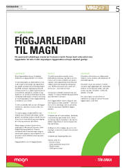 Síða 5