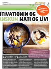 Síða 17