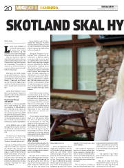Síða 20