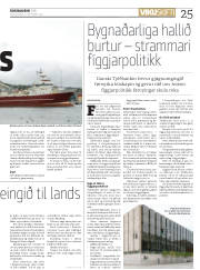 Síða 25