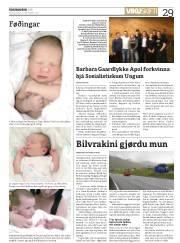 Síða 29