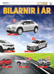 Síða 31