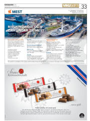 Síða 33