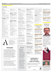 Síða 12