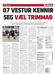 Síða 15