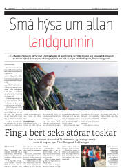 Síða 4
