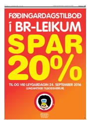 Síða 21