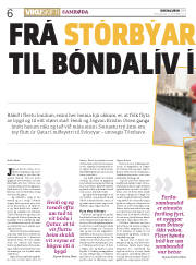 Síða 6