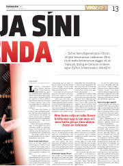 Síða 13