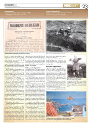 Síða 23