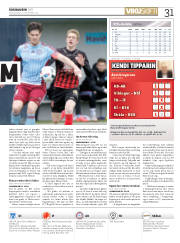 Síða 31