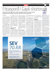 Síða 3