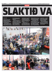 Síða 6