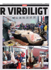 Síða 7