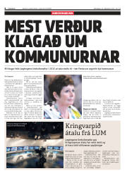 Síða 8