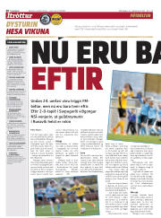 Síða 20