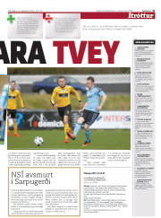 Síða 21