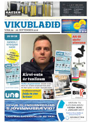 Síða 25