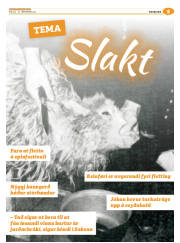 Síða 29