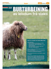 Síða 31