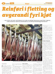 Síða 34