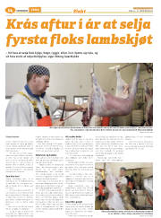 Síða 38