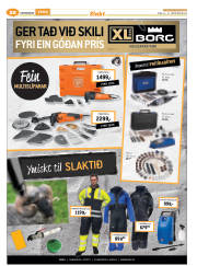 Síða 44