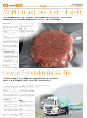 Síða 46