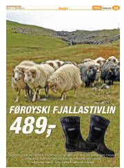 Síða 47