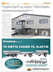 Síða 48