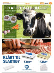 Síða 49