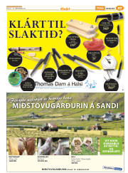 Síða 51