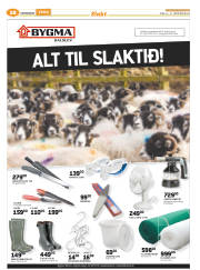Síða 52