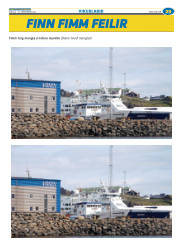 Síða 53
