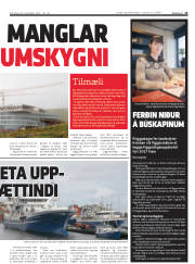 Síða 15
