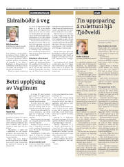 Síða 19