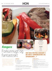 Síða 40