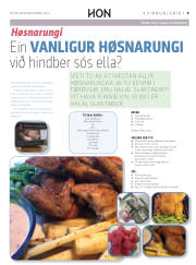 Síða 41