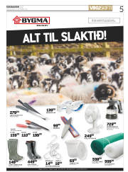 Síða 5