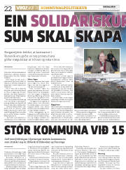 Síða 22