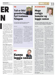 Síða 33