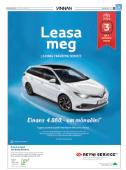 Síða 41