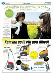 Síða 30