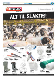 Síða 31