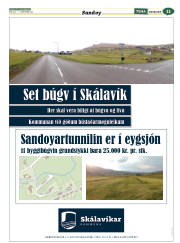 Síða 35